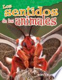 Los sentidos de los animales (Animal Senses)