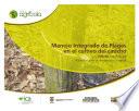 Manejo integrado de plagas en el cultivo del caucho (Hevea brasiliensis) medidas para la temporada invernal