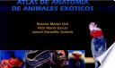 Martín, R., Atlas de anatomía de animales exóticos ©2004