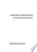 Municipios, participación (o exclusión) mapuche