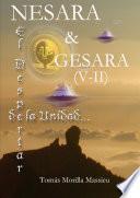 NESARA & GESARA... El Despertar de la Unidad (V-II)