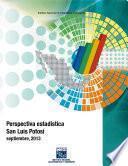 Perspectiva estadística. San Luis Potosí. 2000-2013