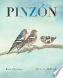 Pinzón (Finch)