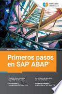 Primeros pasos en SAP ABAP