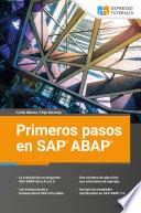 Primeros passos en SAP ABAP