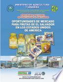 Programa Nacional de Frutas de el Salvador: Oportunidades de Mercado Para Frutas de el Salvador en los Estados Unidos de America