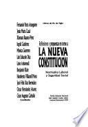 Reflexiones y propuestas en torno a la nueva constitución