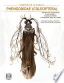 Sinopsis de la Familia Phengodidae (Coleoptera): Trenecitos, bigotudos, glow-worms, railroad-worms o besouros trem de ferro