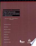 Temas fundamentales de derecho de la información en Iberoamérica