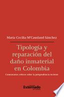 Tipología y reparación del daño inmaterial en Colombia