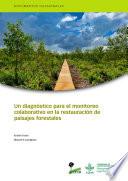 Un diagnóstico para el monitoreo colaborativo en la restauración de paisajes forestales