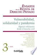 Vulnerabilidad, solidaridad y pandemia. Algunas reflexiones desde el derecho civil