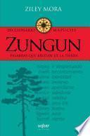 Zungun. Diccionario mapuche